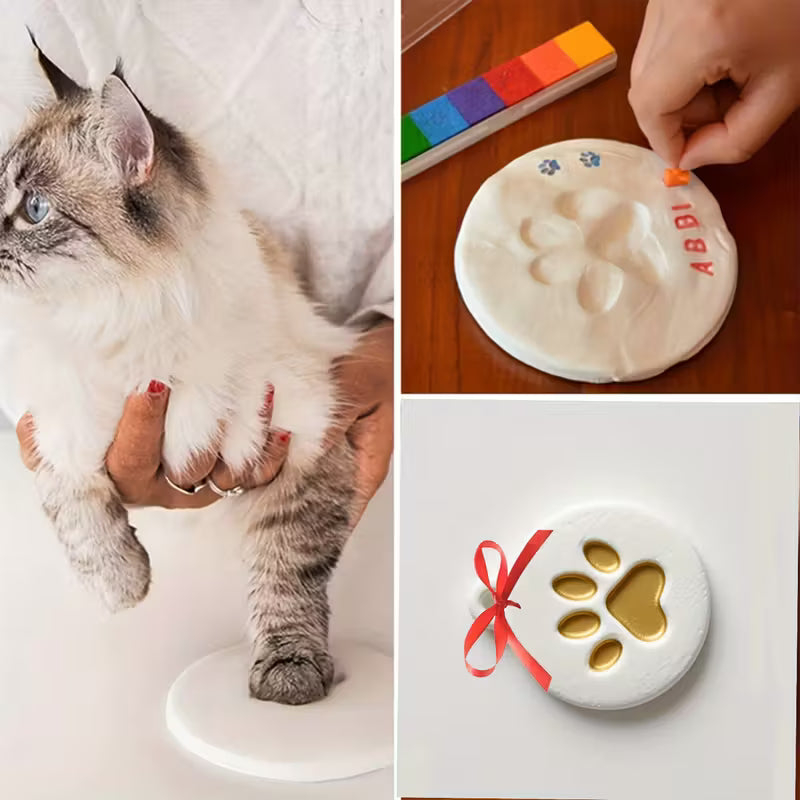 DIY Paw Print kit