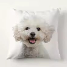 Cojín Poodle Blanco