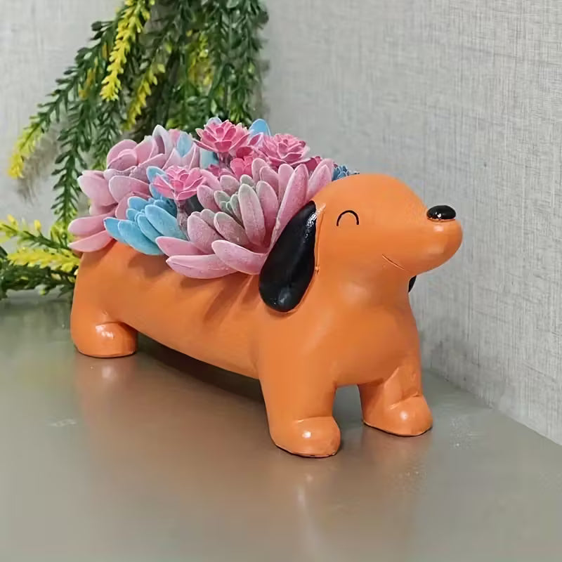 Maceta Dachshund